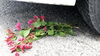 Crushing Crunchy & Soft Things by Car! EXPERIMENT CAR vs WATERMELON TEST