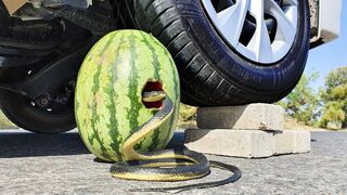 Crushing Crunchy & Soft Things by Car! EXPERIMENT CAR vs SNAKE WATERMELON
