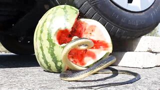 Crushing Crunchy & Soft Things by Car! EXPERIMENT CAR vs SNAKE WATERMELON