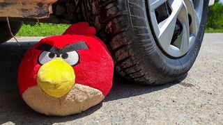 Crushing Crunchy & Soft Things by Car! EXPERIMENT CAR vs ANGRY BIRDS