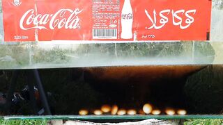 Experiment: Coca Cola and Mentos With Chicken