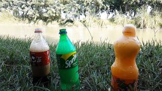Experiment: Coca Cola and Mentos With Chicken
