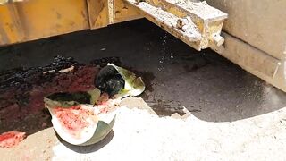 Experiment: Road Roller vs Watermelon Crushing Test