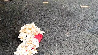 Crushing Crunchy & Soft Things by Car! - EXPERIMENT: Car vs Orbeez