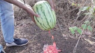 Experiment: Fanta vs Watermelon
