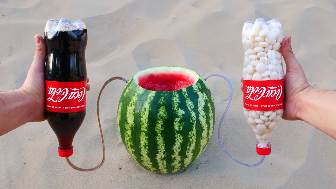 Experiment Watermelon Vs Cola And Mentos