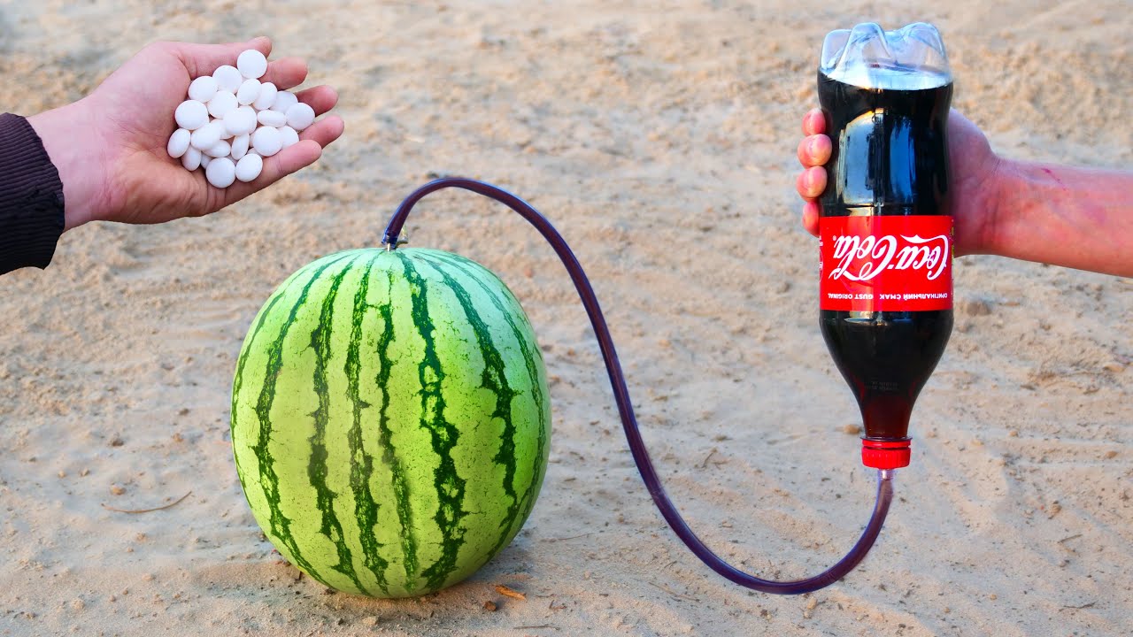 Experiment: Cola And Mentos Vs Watermelon