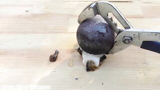 EXPERIMENT: Glowing 1000 degree METAL BALL vs CLEAR SLIME