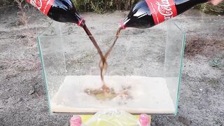 Volcano from Coca Cola, Sprite, Fanta and Mentos!