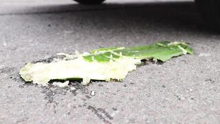 Crushing Crunchy & Soft Things by Car! Car vs EGGS