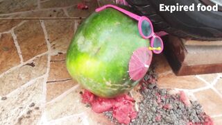 Experiment VS Watermelon family | Crushing Crunchy & Soft Things by Car