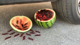 Experiment Car vs Watermelon vs Insect and Bug Toy | Crushing Crunchy & Soft Things by Car | Test Ex