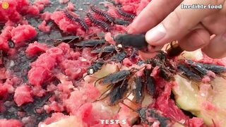 Experiment Car vs Watermelon vs Insect and Bug Toy | Crushing Crunchy & Soft Things by Car | Test S