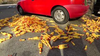 1000 SCREAMING CHICKENS FALL ON MY CAR FROM THE 5TH FLOOR!
