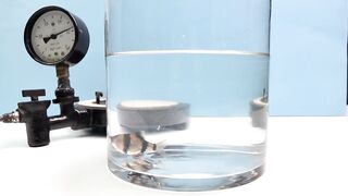 EXPERIMENT: WHAT HAPPENS TO FISH INSIDE THE VACUUM CHAMBER?!?