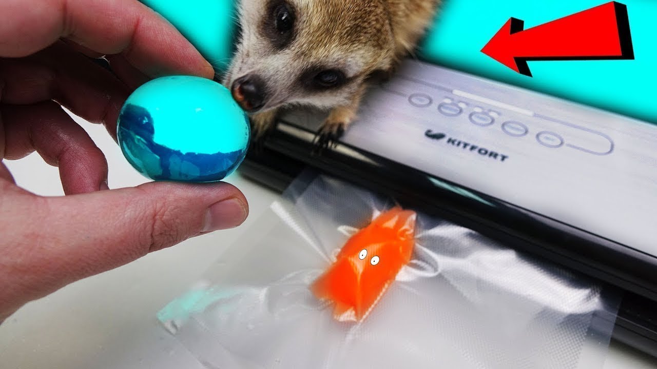 Will It Vacuum Seal? Fluffy Slime, Orbeez, Homunculus!
