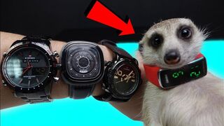 Ordered Many Watches for Crash Tests! Watches for my Meerkat!