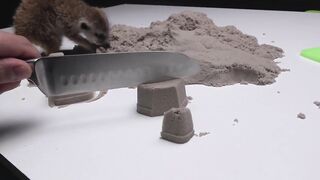 Kinetic Sand and Timon the Meerkat!