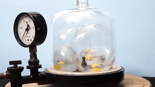 What Happens When You Put a Stress Ball Toys In A Vacuum Chamber?