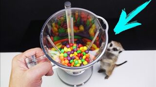 MY REACTION TO SKITTLES & M&M's COCKTAIL!! BEST BLENDER SMOOTHIE!!!