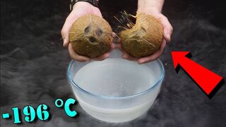 Can a coconut crack if I put in liquid nitrogen?