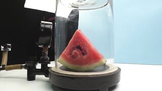 Experiment: A watermelon in a vacuum chamber.  What's gonna happen?