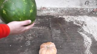 What if I drop a watermelon on a watermelon or pumpkin or melon? 5th floor drop challenge!