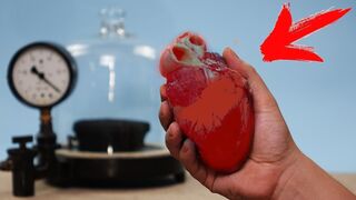 Experiment – A heart in a vacuum chamber!