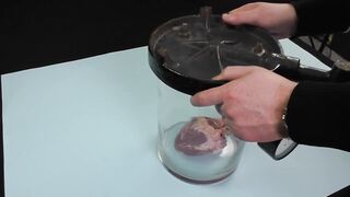 Experiment – A heart in a vacuum chamber!