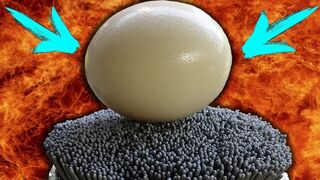 IS IT POSSIBLE TO COOK AN OSTRICH EGG WITH 10 000 SPARKLERS?!?