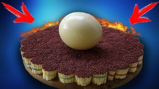 IS IT POSSIBLE TO COOK AN OSTRICH EGG WITH 50 000 MATCHES?!?