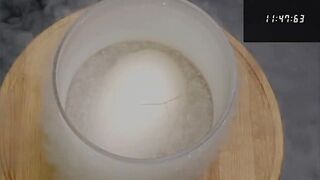 WHAT IF TO PUT AN OSTRICH EGG IN LIQUID NITROGEN?! −320 °F