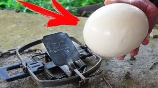 WHAT IF TO PUT AN OSTRICH EGG IN A BEAR TRAP?!? AN EGG COULD HOLD ABOUT 450 POUNDS!!!