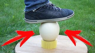 WHAT IF I STEP ON AN OSTRICH EGG ?! HOW MUCH WEIGHT COULD IT HOLD?!