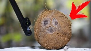 WOULD A COCONUT STOP AN AIR RIFLE PELLET?!?