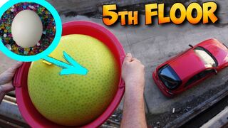 NEW EXPERIMENT! WHAT IF TO THROW DOWN AN OSTRICH EGG IN THE BALLOON FULL OF ORBEEZ!?