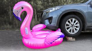 EXPERIMENT: Car vs Flamingo | Crushing Crunchy & Soft Things by Car!