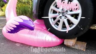EXPERIMENT: Car vs Flamingo | Crushing Crunchy & Soft Things by Car!