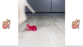 Crushing Crunchy & Soft Things by Shoes. Experiment: Women Shoes vs Slick Toys, Relax Videos
