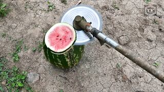EXPERIMENT CIRCULAR SAW BLADE on TRIMMER vs WATERMELON