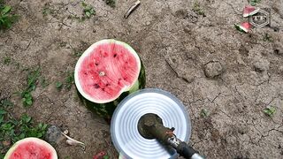 EXPERIMENT CIRCULAR SAW BLADE on TRIMMER vs WATERMELON