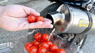 EXPERIMENT TOMATO in MOTORCYCLE EXHAUST