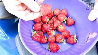 EXPERIMENT Strawberries in MOTORCYCLE EXHAUST