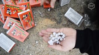 EXPERIMENT 10000 SNAPPERS FIRECRACKERS vs CHAINSAW