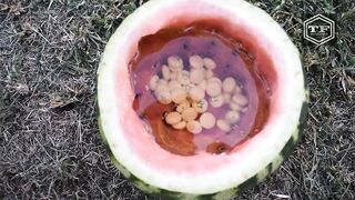 EXPERIMENT GASOLINE & MENTOS IN WATERMELON