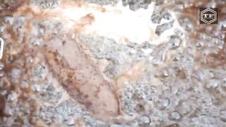 EXPERIMENT ICE CREAM IN FRYER 300°C