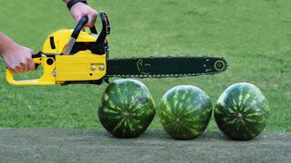 EXPERIMENT CHAINSAW vs 3 WATERMELONS