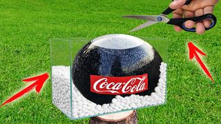 Experiment: Coca Cola and Mentos. Super reaction!