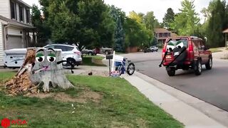 Elephant Attacks Car | Wild Animal Encounters by Doodles - Woa Doodland