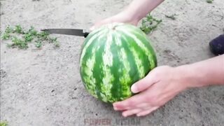 Watermelon Vs 1000 Matches